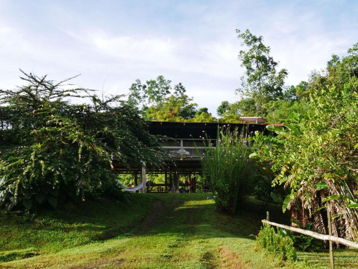 Albergue La Laguna Puerto Jimenez Exterior photo