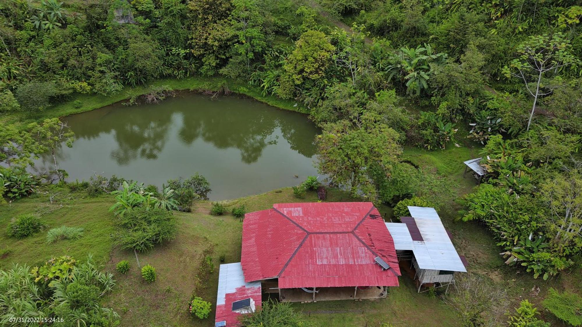 Albergue La Laguna Puerto Jimenez Exterior photo