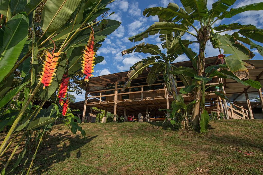 Albergue La Laguna Puerto Jimenez Exterior photo