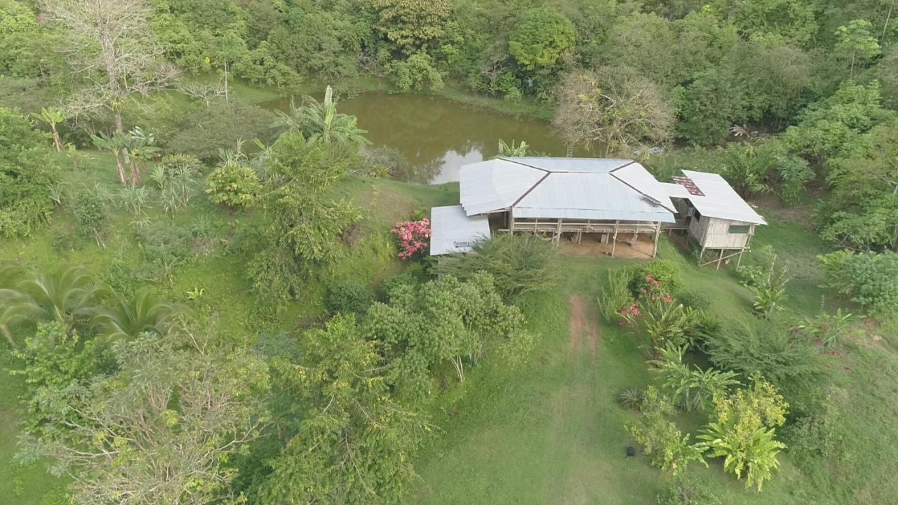 Albergue La Laguna Puerto Jimenez Exterior photo